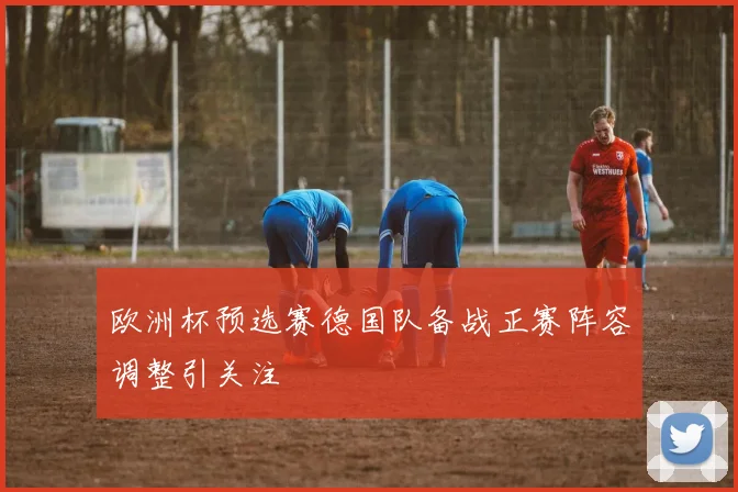 欧洲杯预选赛德国队备战正赛阵容调整引关注