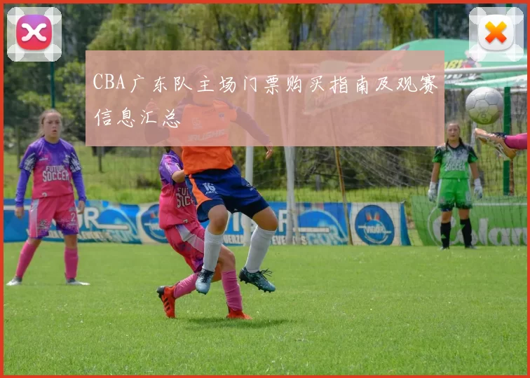 CBA广东队主场门票购买指南及观赛信息汇总