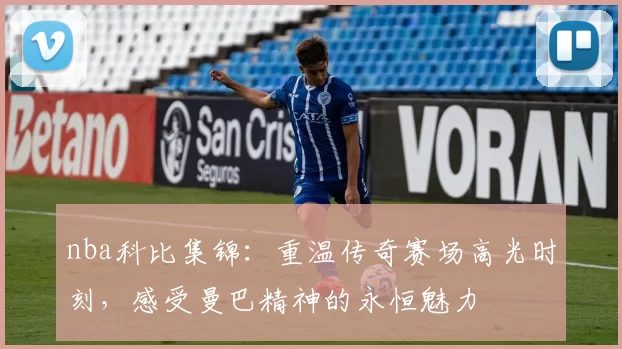 nba科比集锦：重温传奇赛场高光时刻，感受曼巴精神的永恒魅力