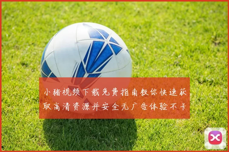 小猪视频下载免费指南教你快速获取高清资源并安全无广告体验不卡